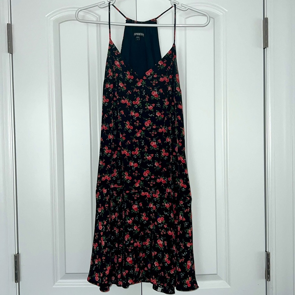 Express Floral Dress